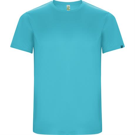 Спортивная футболка IMOLA мужская, БИРЮЗОВЫЙ 2XL