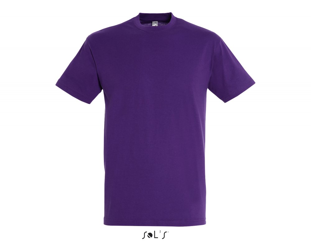 Фуфайка (футболка) REGENT мужская,Темно-фиолетовый XXS